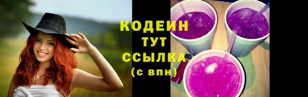 гашик Верхний Тагил